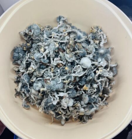 Jack Frost - Image 2