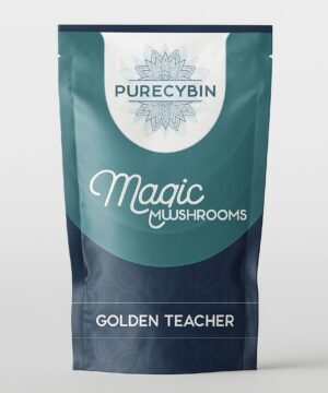 buy Golden-Teacher magic mushrooms online in the uk at Purecybin, dried psilocybin mushrooms for sale.